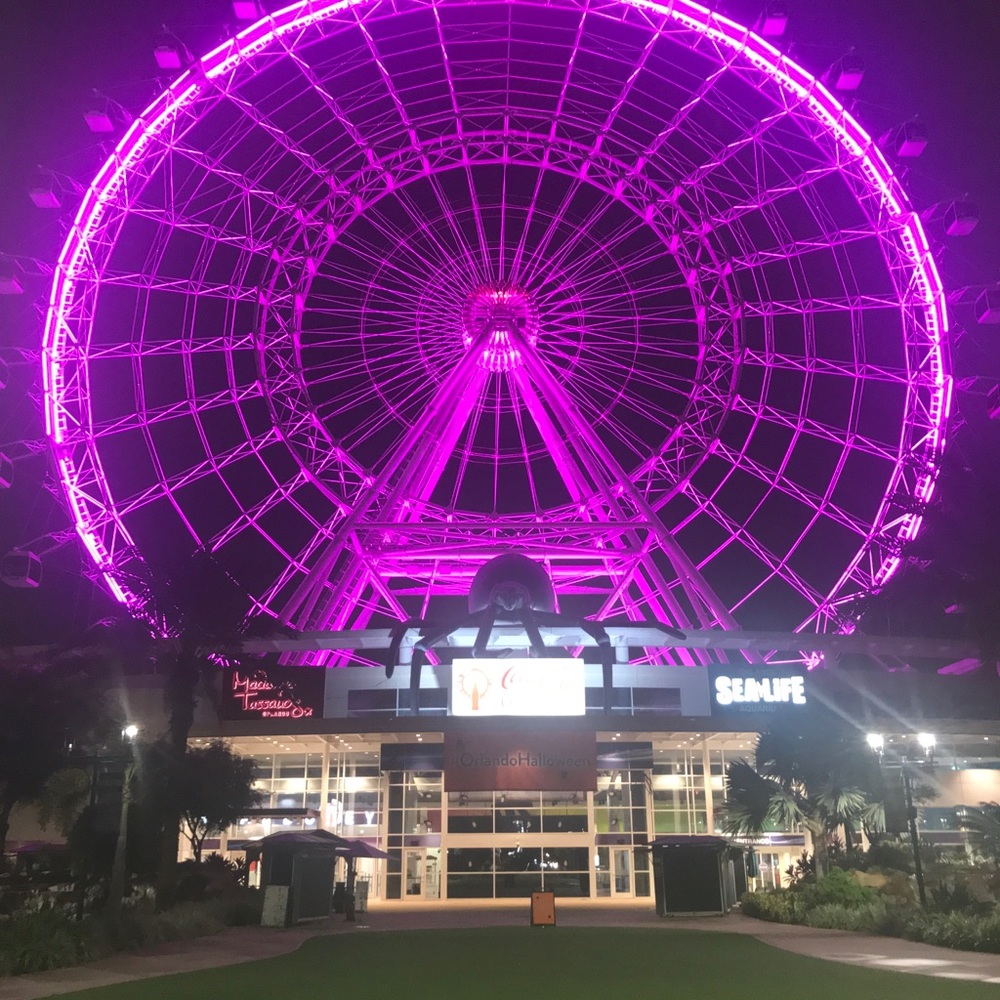 Meet your Posher, Tania